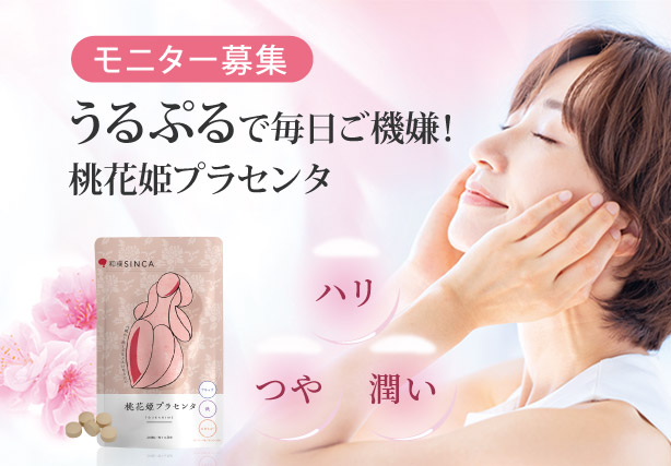 和漢SINCA
